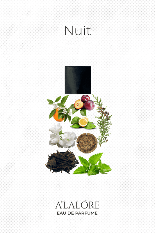 Alalore Nuit unisex parfüm 100 ml şişesi ve içeriğinde narenciye, meyve ve bitkisel notlar