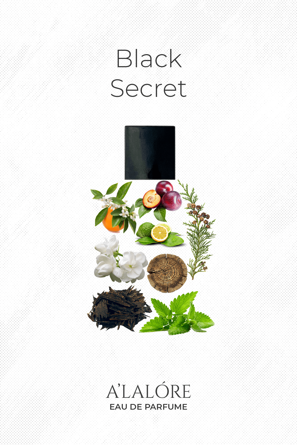 A'LALÓRE Black Secret erkek parfüm önerisi odunsu ve çiçeksi notalarla