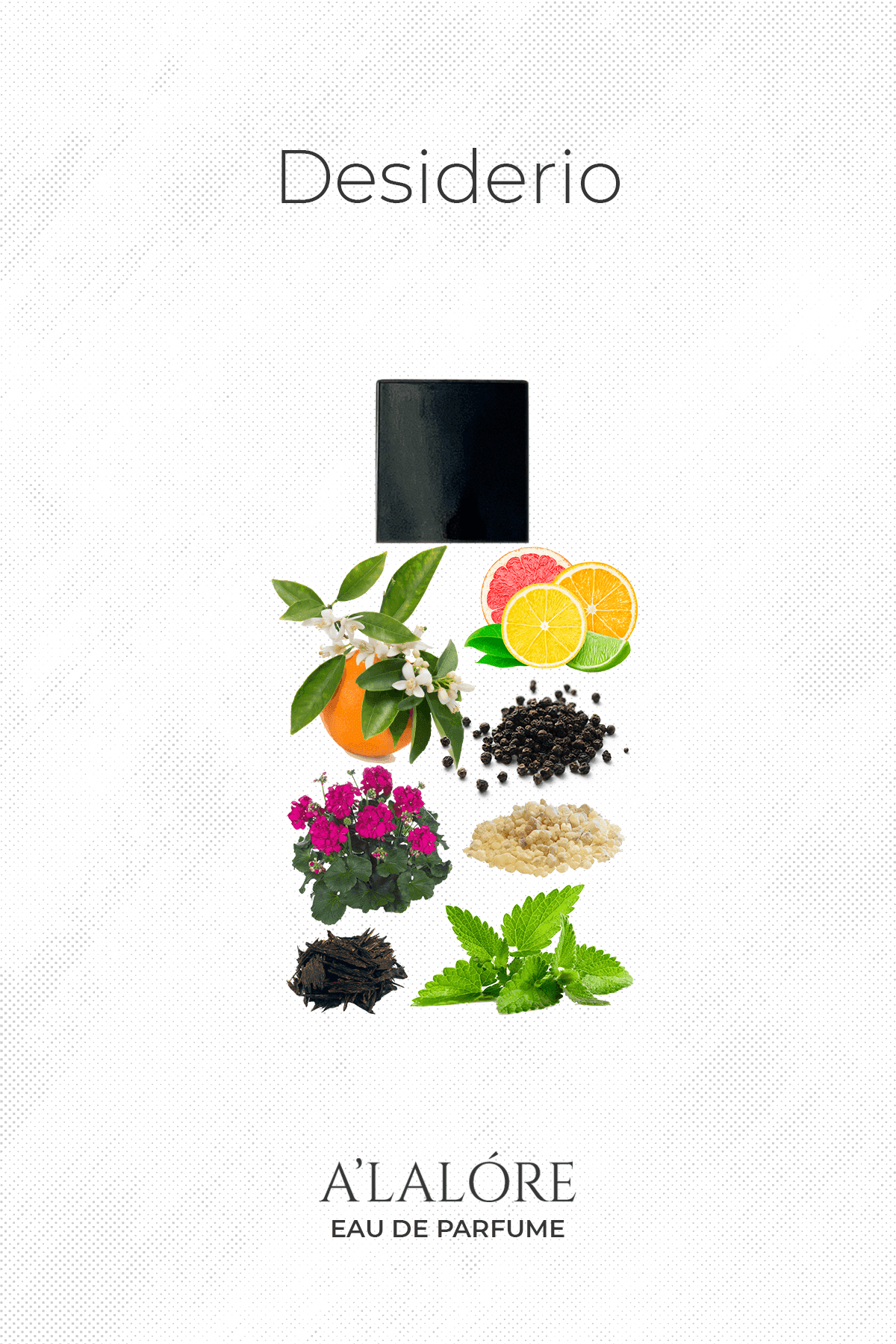 Alalore Desiderio erkek parfüm şişesi ve meyve, çiçek ile baharat notaları