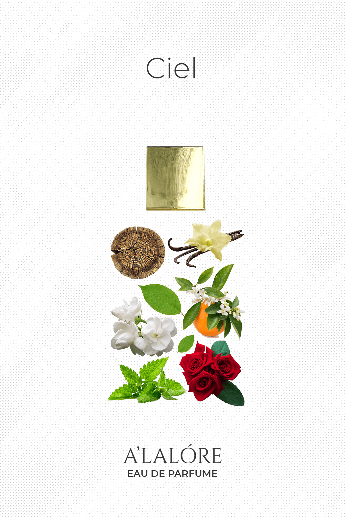 Alalore markasının kadın parfümü Cielin içeriğinde vanilya, gül, portakal ve odunsu notalar